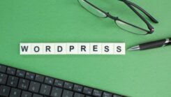 Mises à jour automatiques ou manuelles sur wordPress ?
