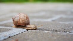 10 raisons pour lesquelles votre site est lent